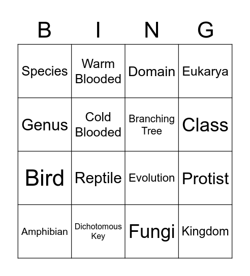 Chapter 3 BINGO Card