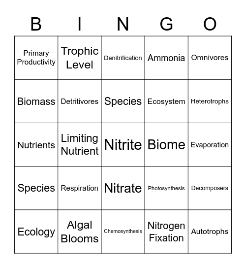 Chapter 3 Bingo Card