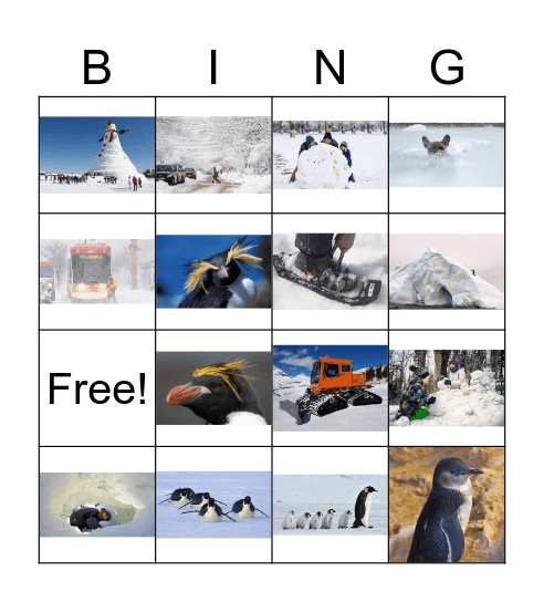 Penguins Bingo Card