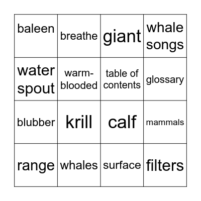 Blue Whales Bingo Card