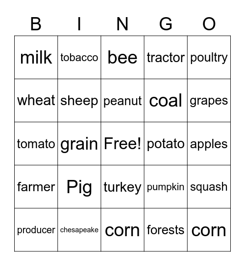 Agggggggggggggg Bingo Card