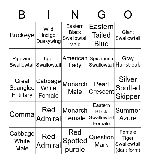 Butterfly Bingo Card