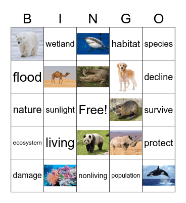 Nature's Balance Bingo Card