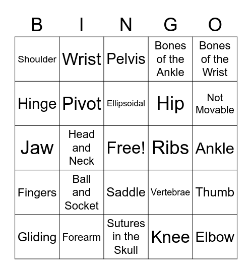 Joints of the Human Body Bingo Card