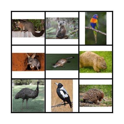 Australian Animal Bingo Card