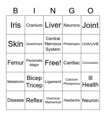 Body Systems Bingo Card