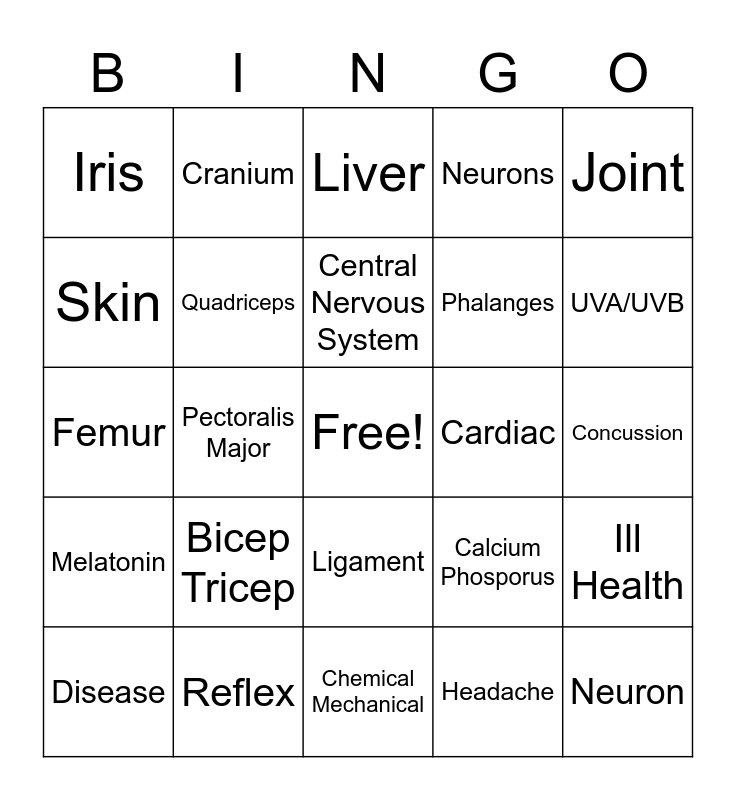 Body Systems Bingo Card