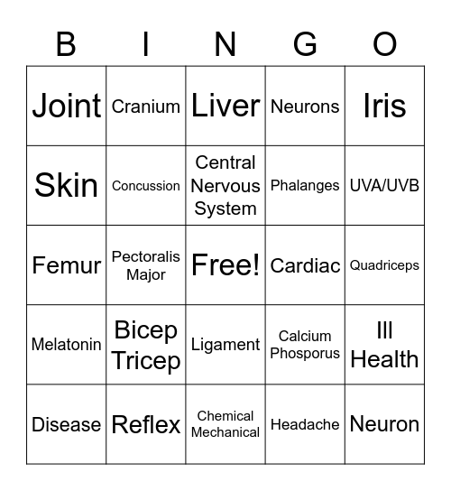 Body Systems Bingo Card