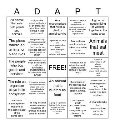 Adaptation Bingo Card