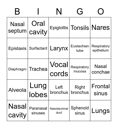 Pulmonary system Bingo Card