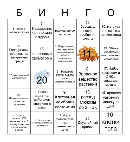 Проверка уровня знаний Bingo Card