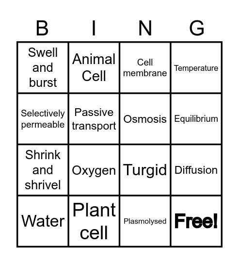 Revision Bingo Card