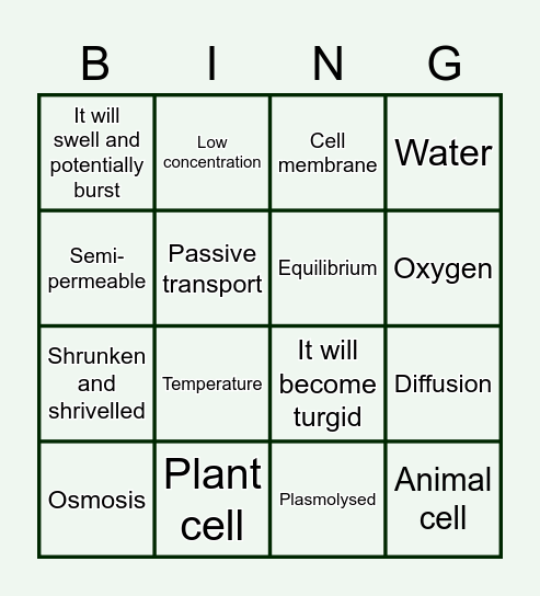 Revision Bingo Card