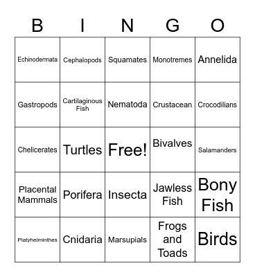 Animal Phylum Bingo Card