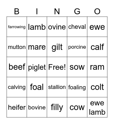 Livestock Terms Bingo Card