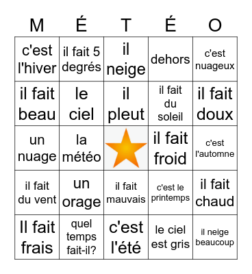 French weather and seasons Bingo Card