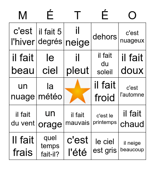 French weather and seasons Bingo Card