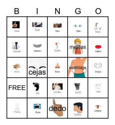 CCHS--El Cuerpo Bingo Card