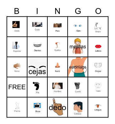 El cuerpo sp Bingo Card