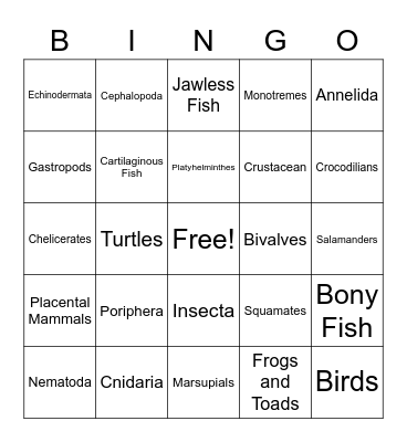 Animal Phylum Bingo Card