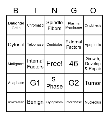 Cell Division Bingo Card