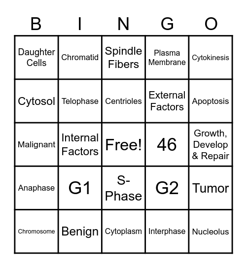 Cell Division Bingo Card