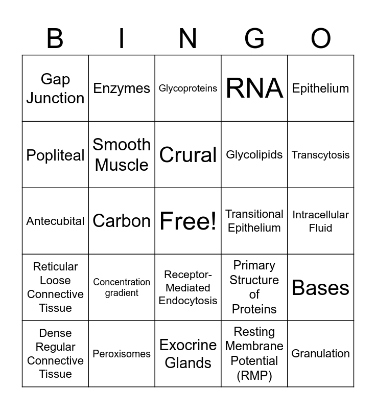 Exam 1 Bingo! Bingo Card