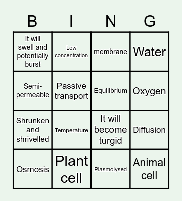 Revision Bingo Card