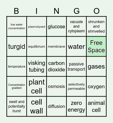 Revision Bingo Card