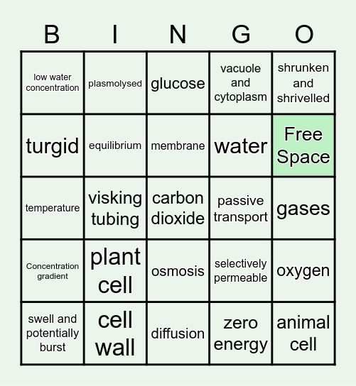 Revision Bingo Card