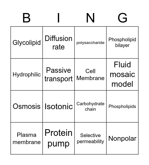 Cell Membrane and Transport Bingo Card