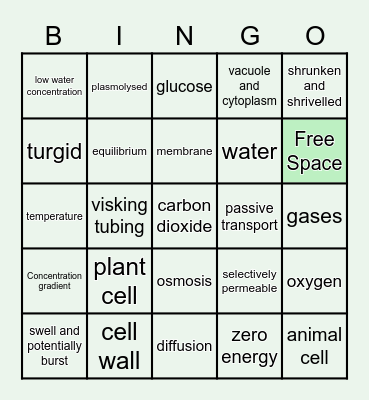 Revision Bingo Card