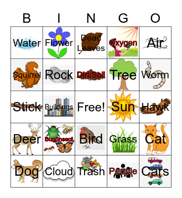 Backyard Biotic/Abiotic Factors Bingo Card