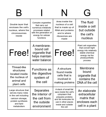 Plant Cell Bingo Card