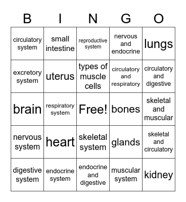 Body System Bingo Card