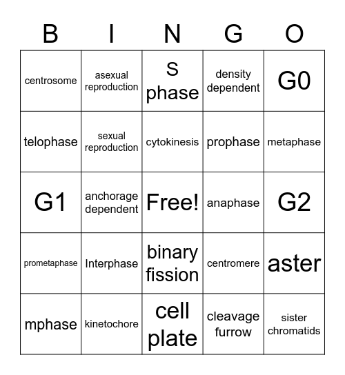 Mitosis bingo Card