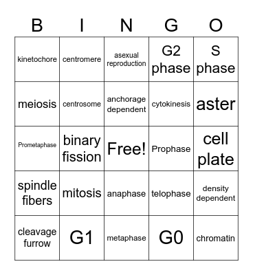 Cell Division Bingo Card