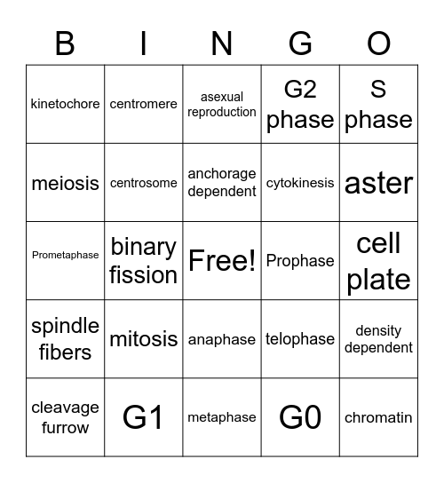 Cell Division Bingo Card