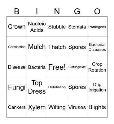Bacterial Diseases Bingo Card