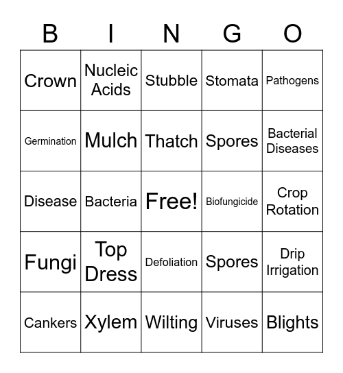 Bacterial Diseases Bingo Card