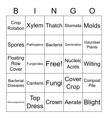 Bacterial Diseases Bingo Card