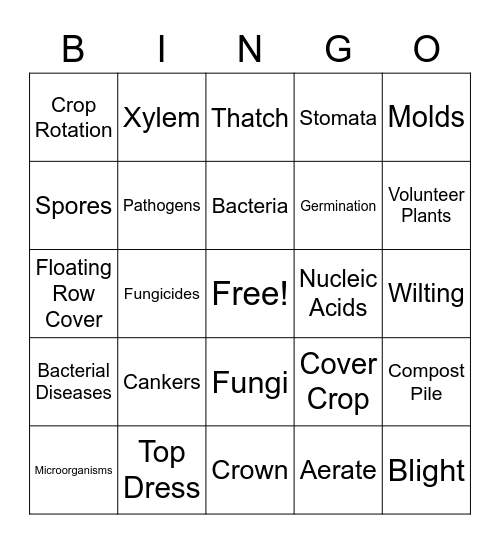 Bacterial Diseases Bingo Card