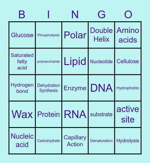 Biomolecule Bingo Card