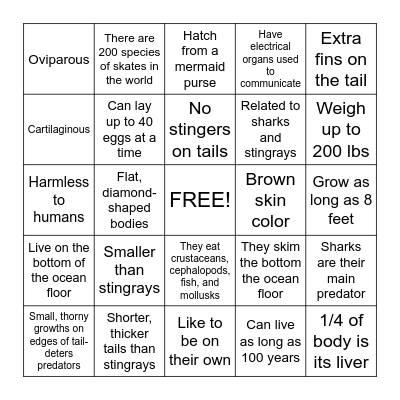 Skate Facts Bingo Card