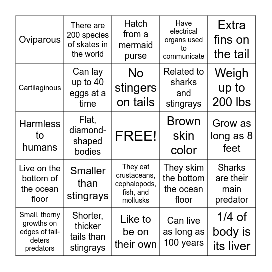 Skate Facts Bingo Card