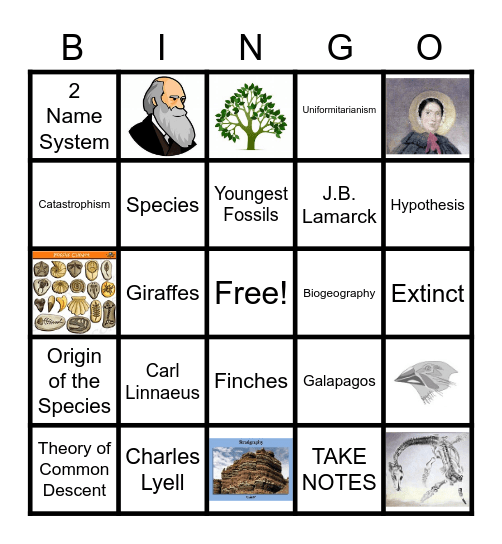 Evidence of Evolution Bingo Card