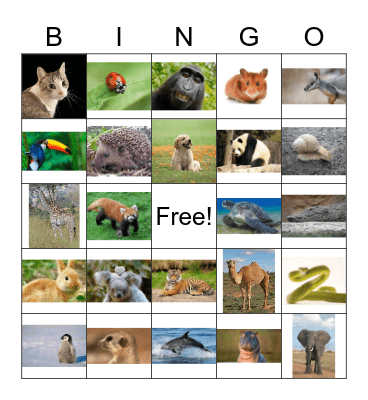 Animals Bingo Card