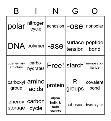 Chemistry of Life AP Biology Bingo Card