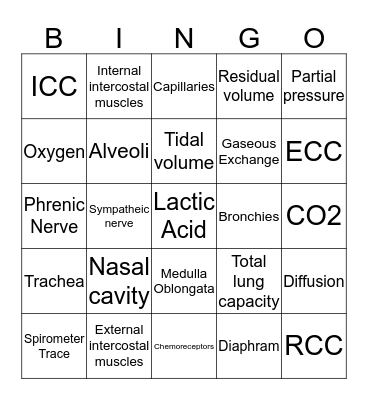 Respiratory System Bingo Card