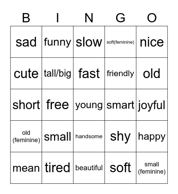 Descriptive Adjectives in French Bingo Card